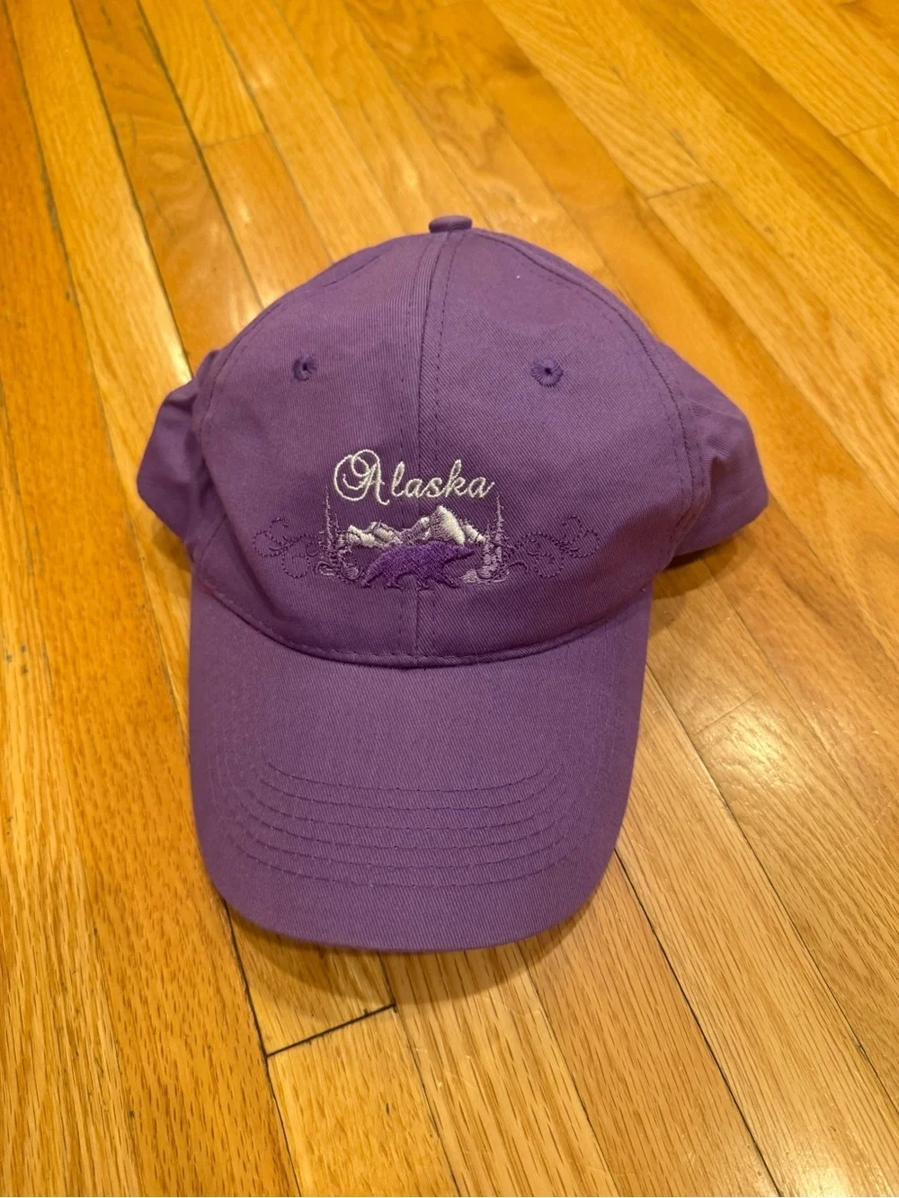 Alaska Embroidered Purple Baseball Cap